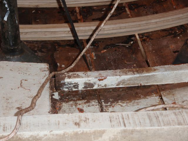 [Immagine: 200955133138_P3130006.jpg]
