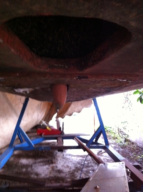 [Immagine: 201112416134_foto1.JPG]