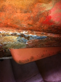 [Immagine: 2011124161418_foto2.JPG]