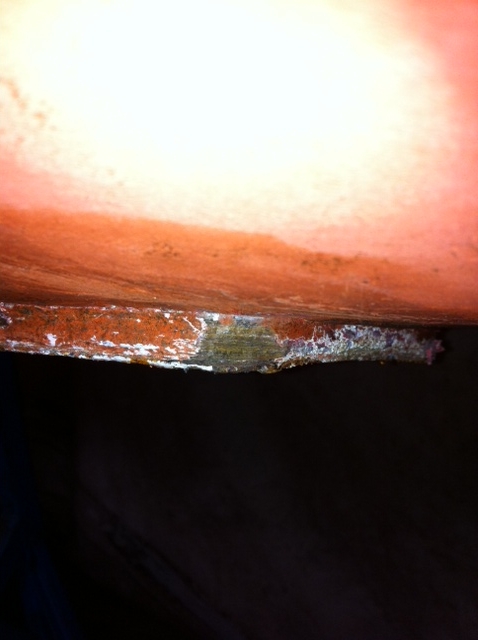 [Immagine: 2011124164024_foto8.JPG]