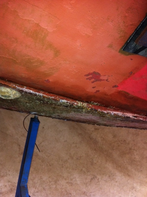 [Immagine: 201112416402_foto7.JPG]