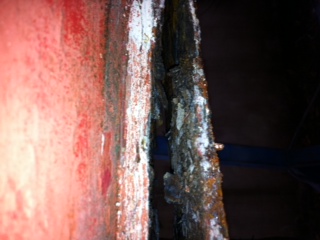 [Immagine: 2012115164114_2.JPG]