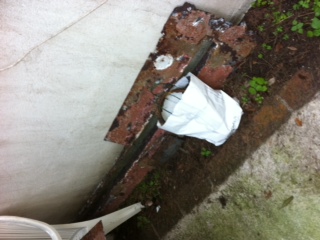 [Immagine: 201221185419_foto.JPG]