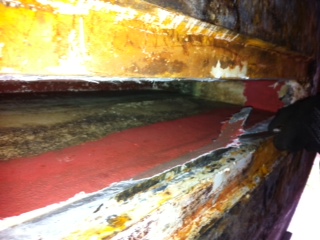 [Immagine: 20122118571_foto6.JPG]
