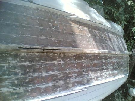 [Immagine: 20126412031_003.jpg]