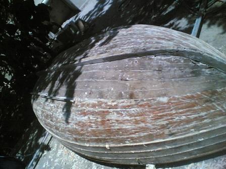 [Immagine: 20126412821_013.jpg]