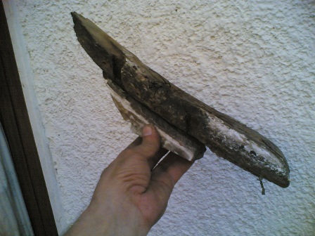 [Immagine: 201271522231_controRuotaPalellaRotta2.jpg]