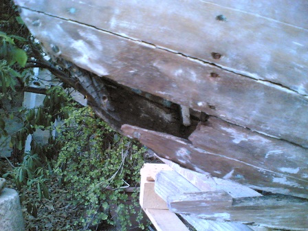 [Immagine: 201271522306_noprua2.jpg]