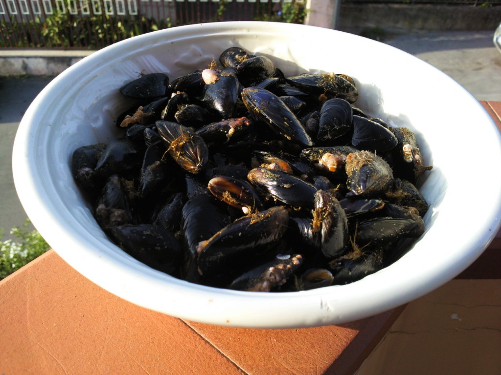 [Immagine: 20128995530_cozze.jpg]