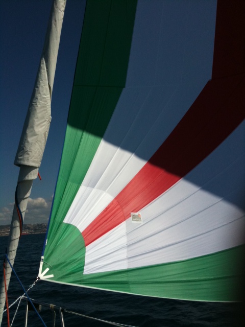 [Immagine: 2011320221229_photo4.JPG]