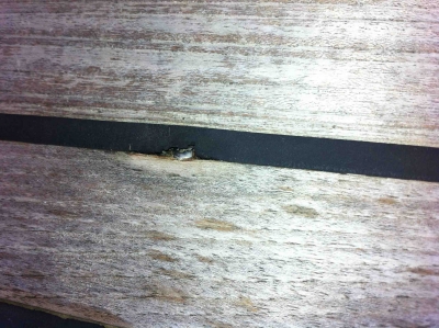 [Immagine: 201212101121_viti2.jpg]
