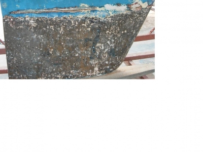 [Immagine: 20101022181420_Bulbo.jpg]