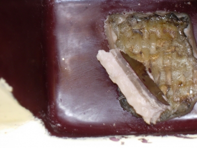 [Immagine: 201118194243_new11.jpg]