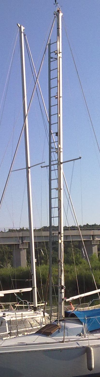 [Immagine: 2010714113242_scala.jpg]
