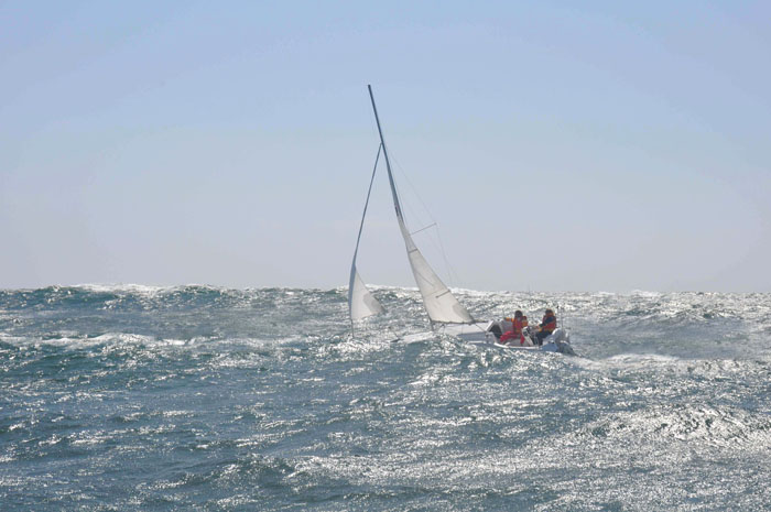[Immagine: 20097821303_26M_1.jpg]