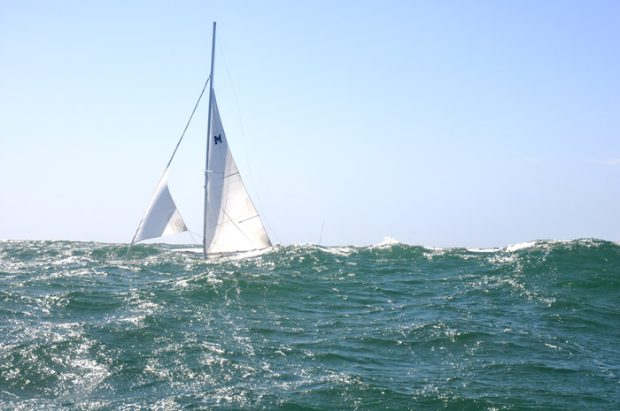 [Immagine: 200978213157_26M_5.jpg]