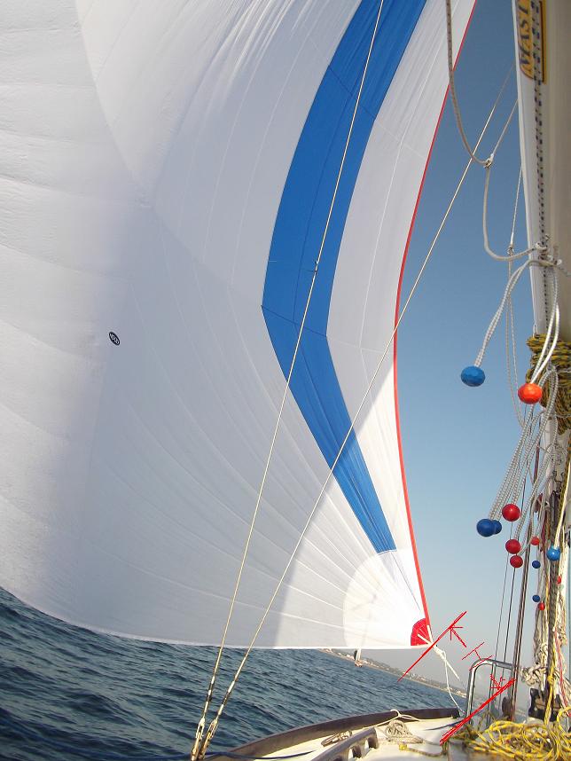 [Immagine: 2012511113226_GENNY.JPG]