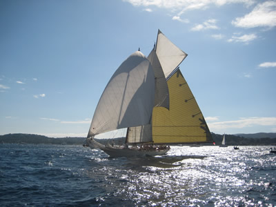 [Immagine: 2009127142550_IMG_0328.jpg]
