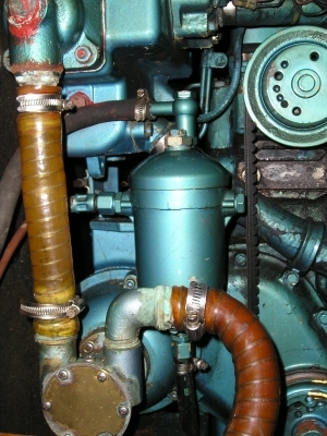 [Immagine: 2011714161817_Filtro.jpg]