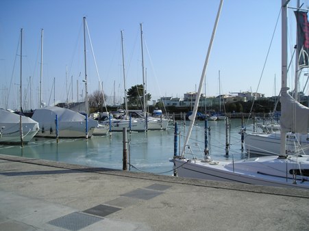 [Immagine: 201225162138_P5020001.JPG]
