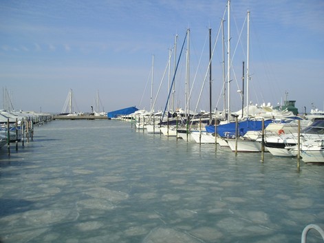 [Immagine: 201225162334_P5020005.JPG]