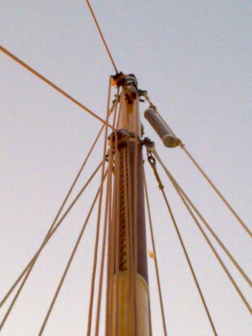 [Immagine: 200912814341_TestaAlbero.jpg]