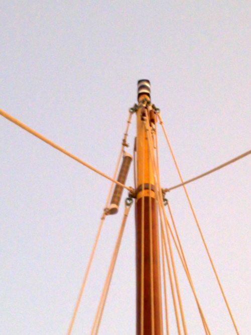 [Immagine: 2009128143853_TestaAlberoPoppa.jpg]