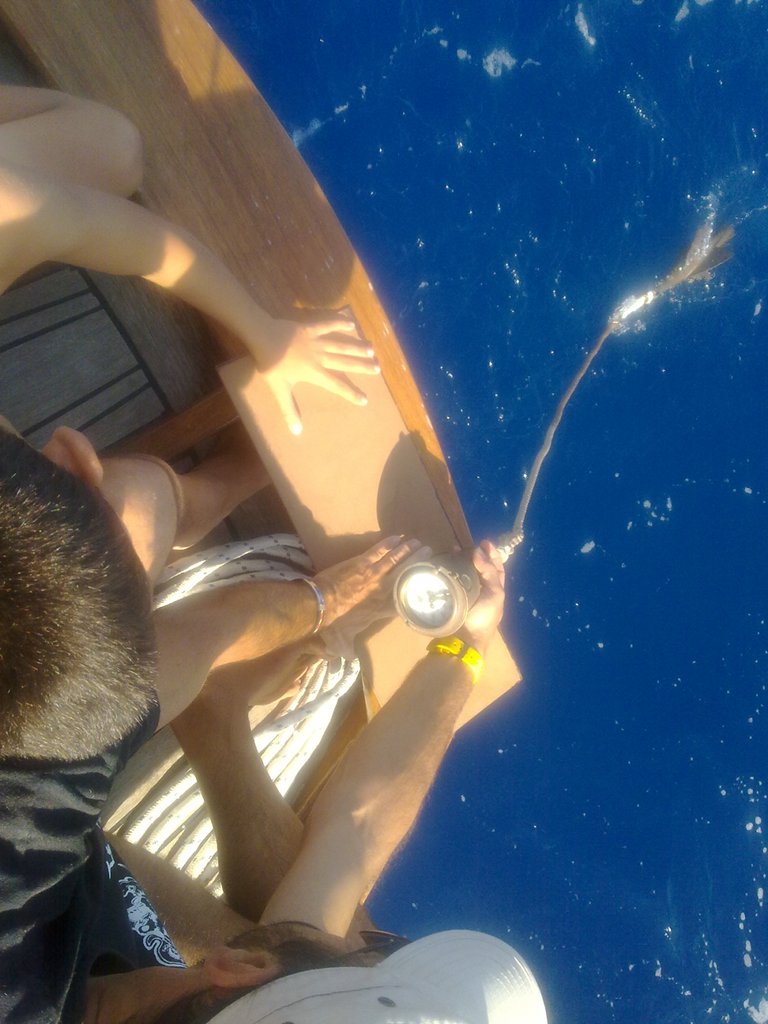[Immagine: 201291915028_16092012977piccola.jpg]
