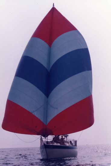 [Immagine: 2012101617233_Booster.jpg]