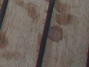 [Immagine: 20111220182943_4.jpg]