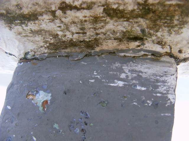 [Immagine: 2012219114553_PICT0003.JPG]
