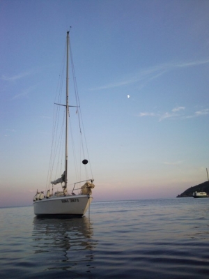 [Immagine: 20101021343_46868_1479428540399_10743475...7804_n.jpg]