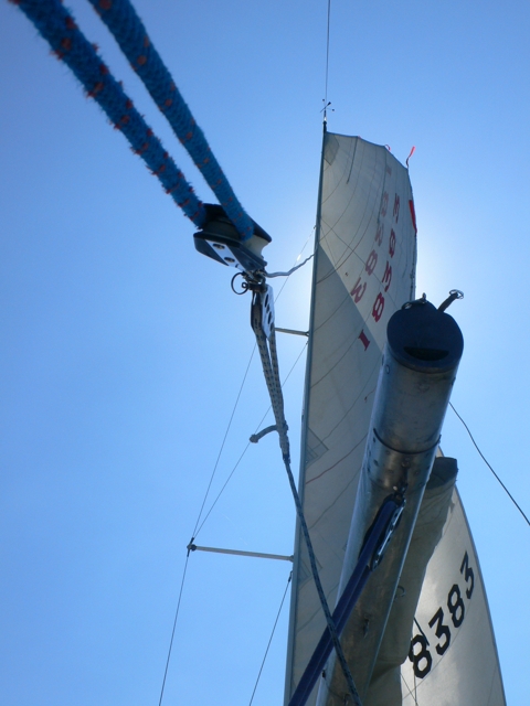 [Immagine: 2009617164842_P1000948-1.JPG]