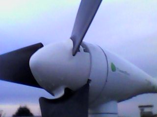 [Immagine: 2013112519946_IMG0023A.jpg]