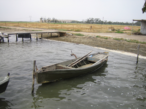 [Immagine: 20106285751_2.JPG]