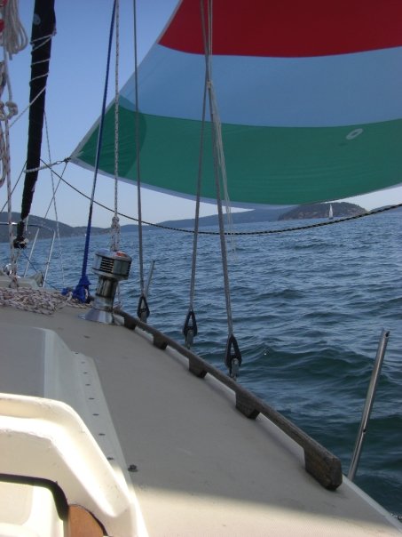 [Immagine: 201093082214_5420_259182010369_259179930...7139_n.jpg]