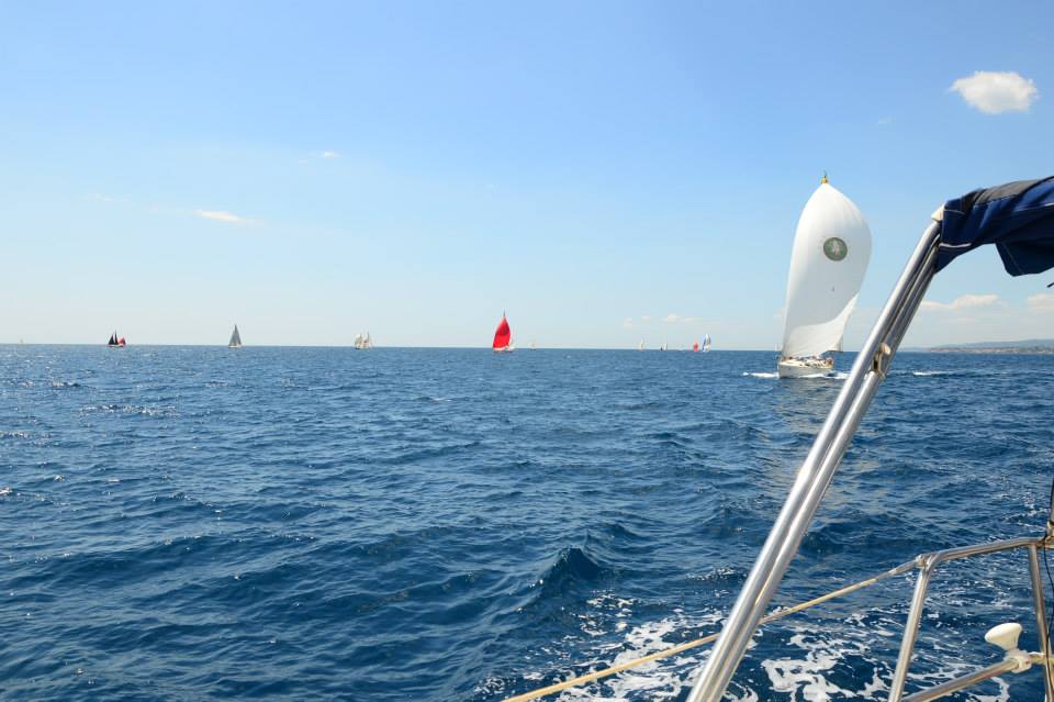 [Immagine: 201372133736_etanSeaRace2013_3.jpg]