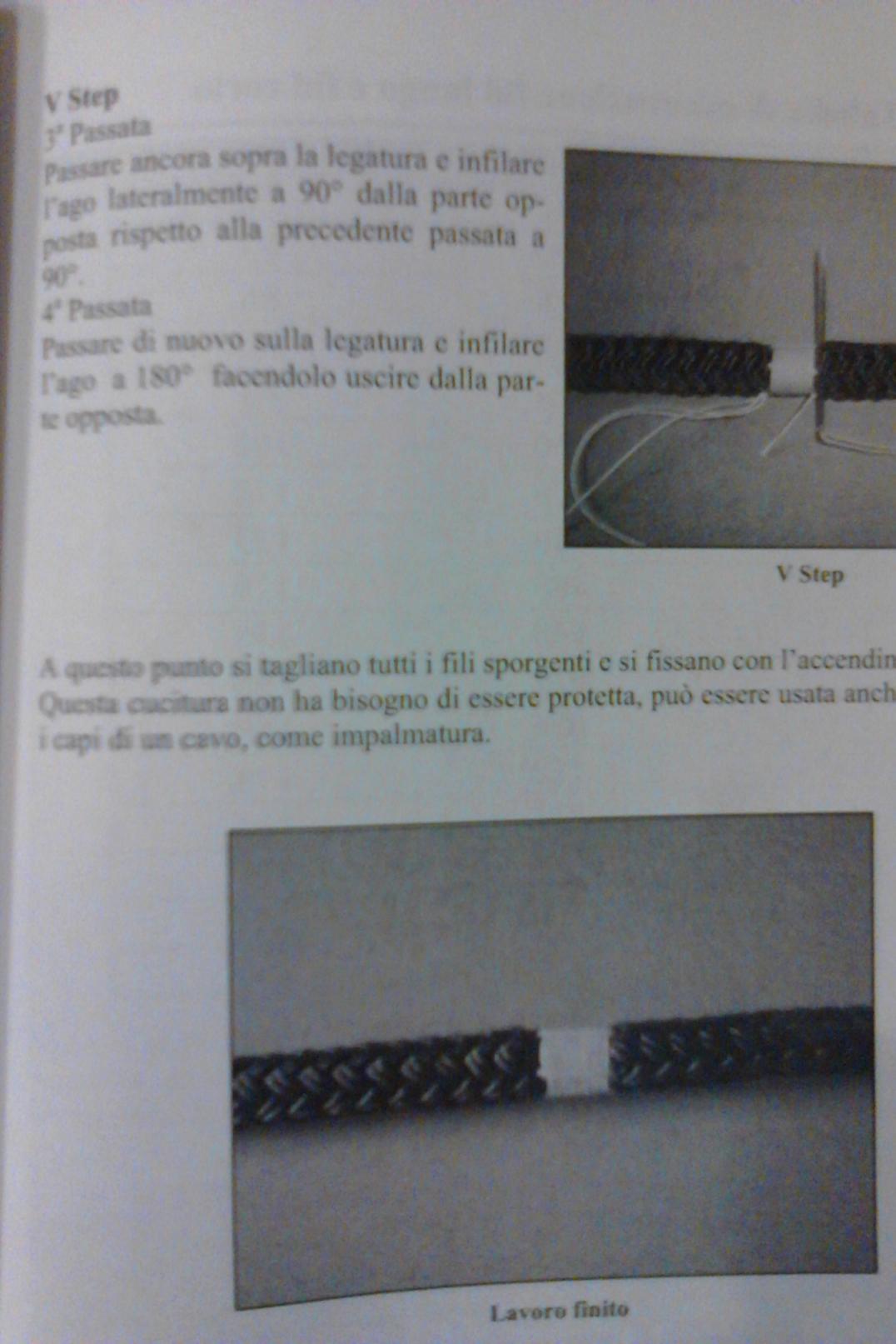[Immagine: 2011101212756_ghirlanda3.JPG]