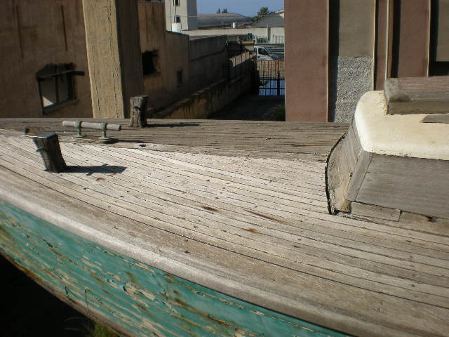 [Immagine: 20081130232059_DSCN0812.JPG]