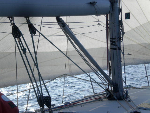 [Immagine: 2010511133643_CIMG0024.JPG]