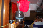 [Immagine: 20121124185423_origo3.JPG]