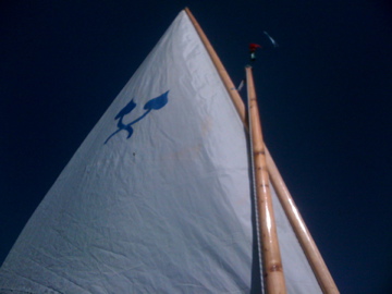 [Immagine: 201286224437_IMG_0300.jpg]