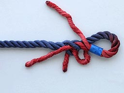 [Immagine: 20103512373_spliceR6.jpg]
