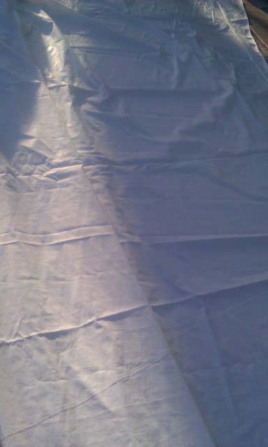 [Immagine: 2013414186_IMAG0976.jpg]