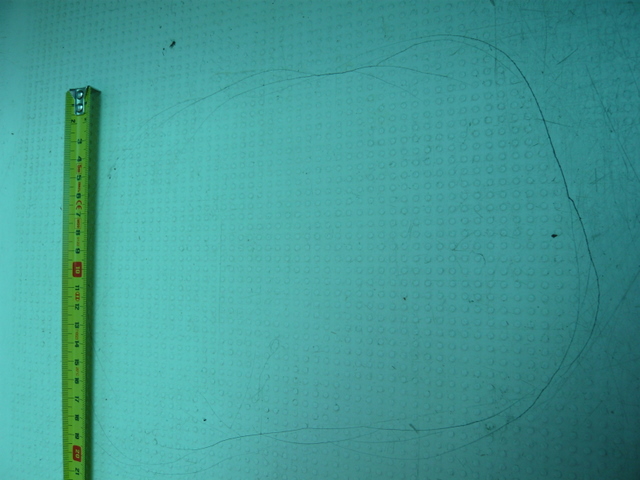 [Immagine: 2010310102241_P1030821.JPG]