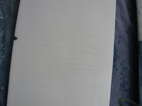 [Immagine: 201031010548_P1030872.JPG]