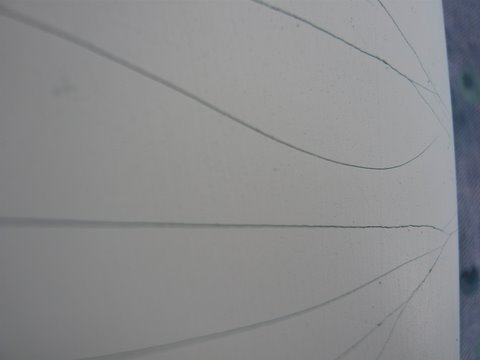 [Immagine: 20103101066_P1030873.JPG]