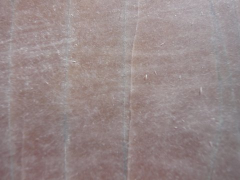 [Immagine: 201031610184_P1030889.JPG]
