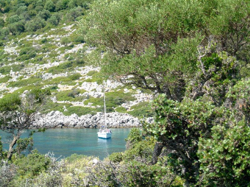 [Immagine: 2009324232346_itaca.JPG]