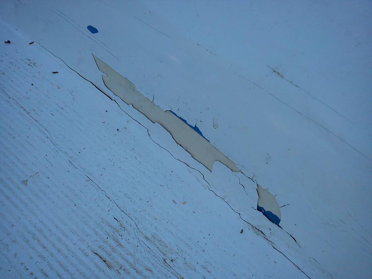 [Immagine: 201151111460_Optimized-DSC00018.jpg]